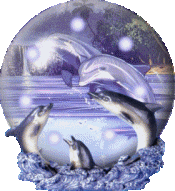 dauphins