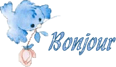 bonjour