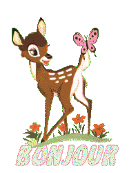 bonjour