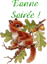 bonsoir a tous et a toutes