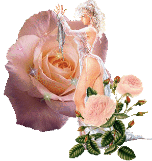 bonne journee