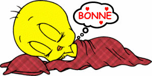bonsoir a tous et a toutes