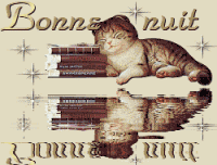 bonne nuit