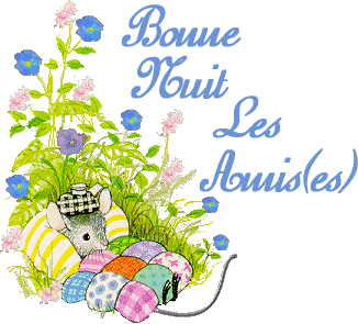 bonsoir a tous et a toutes