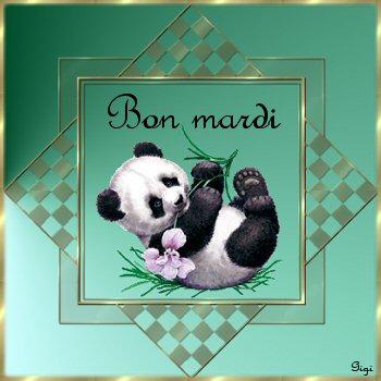 bon mardi