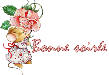 bonne soiree